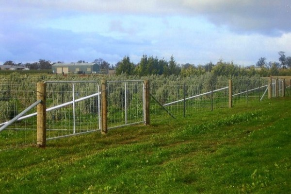 fencing_vic_rural_1.jpg