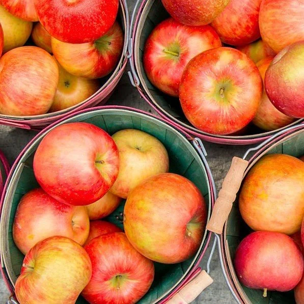 Cozy Vanilla Apple fall candle for autumn home décor and seasonal gifting.