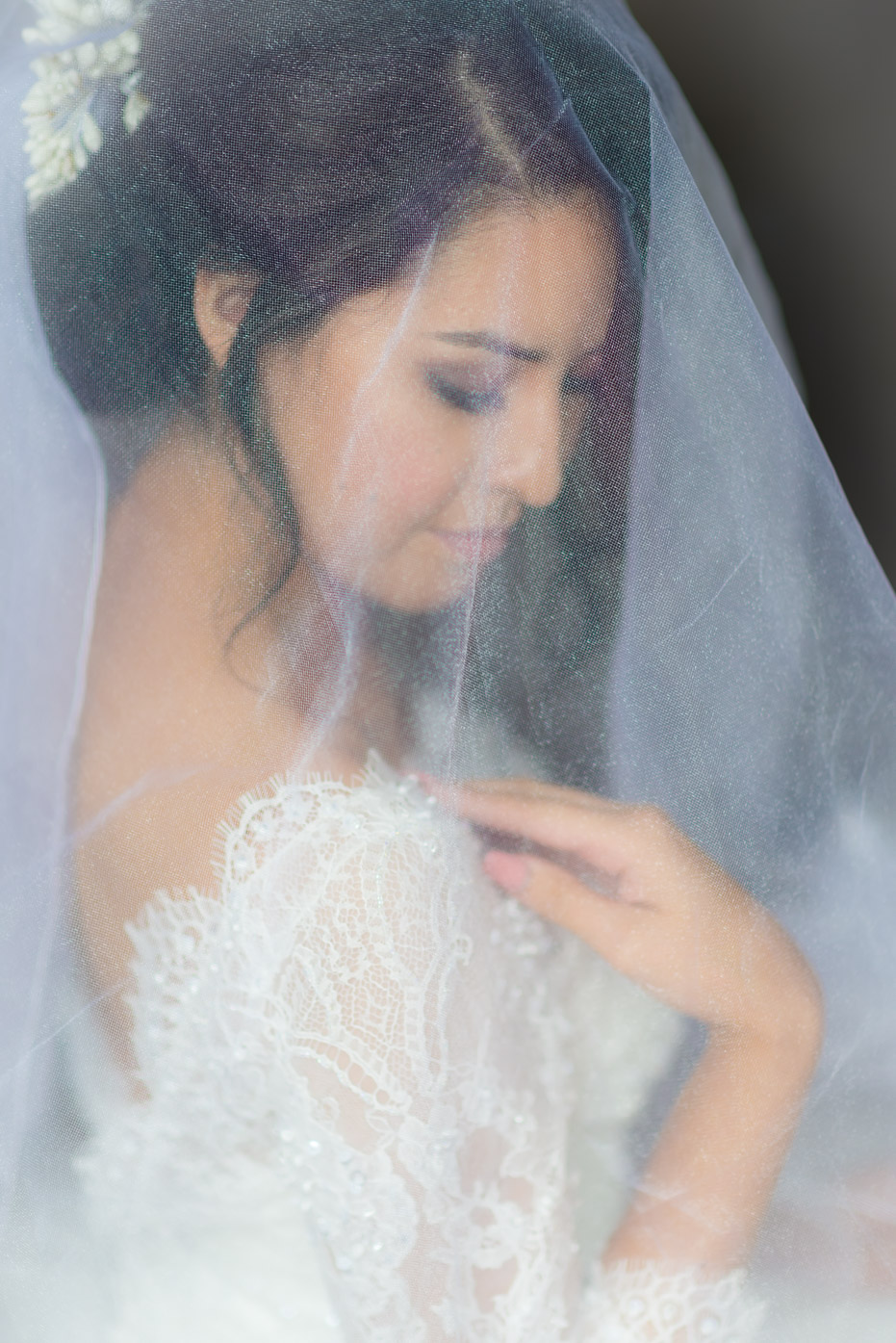 Bridal Veil and Dress Portrait