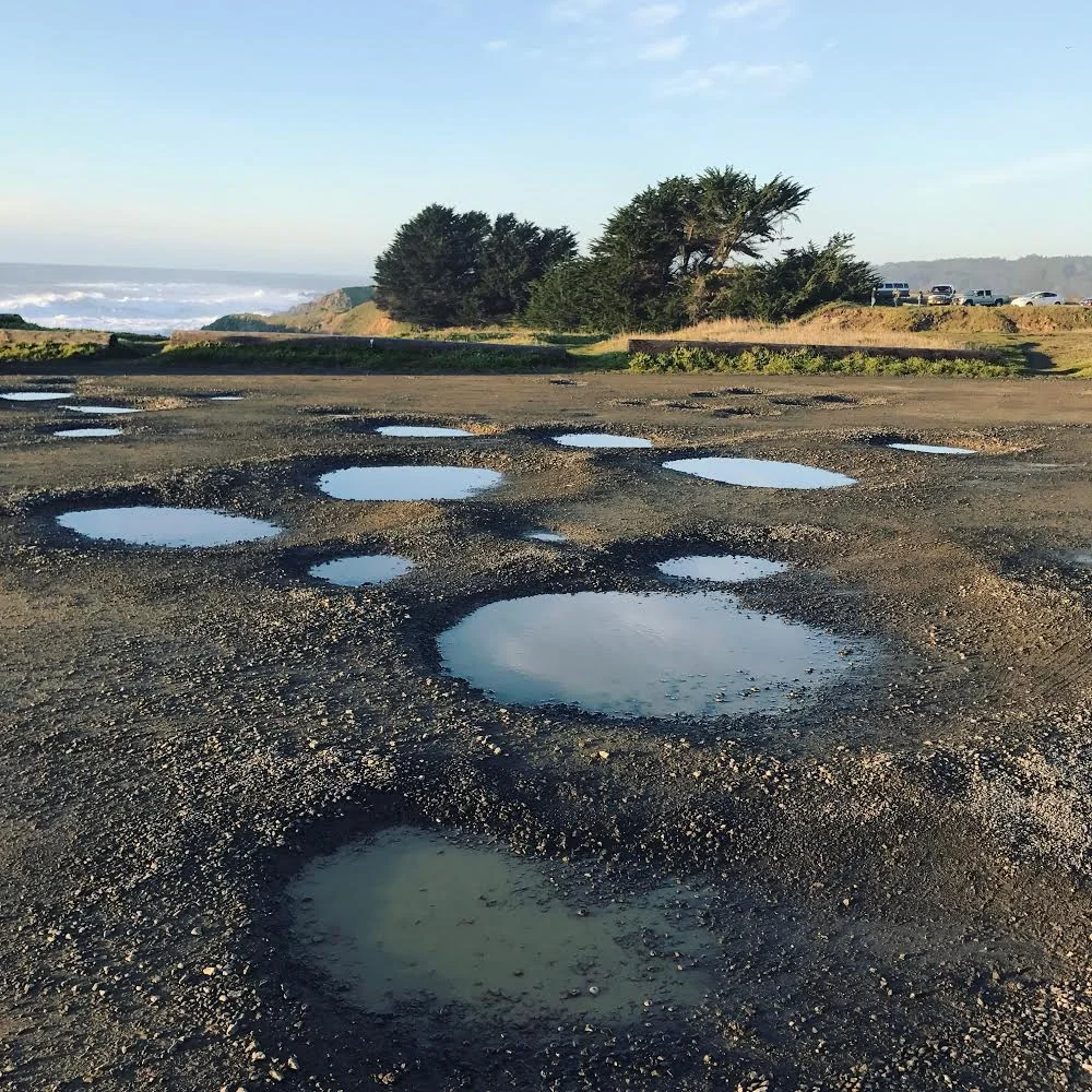 Four Ways Solopreneurs Handle Income Instability