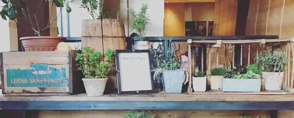 Are you a freelancer or a solopreneur?