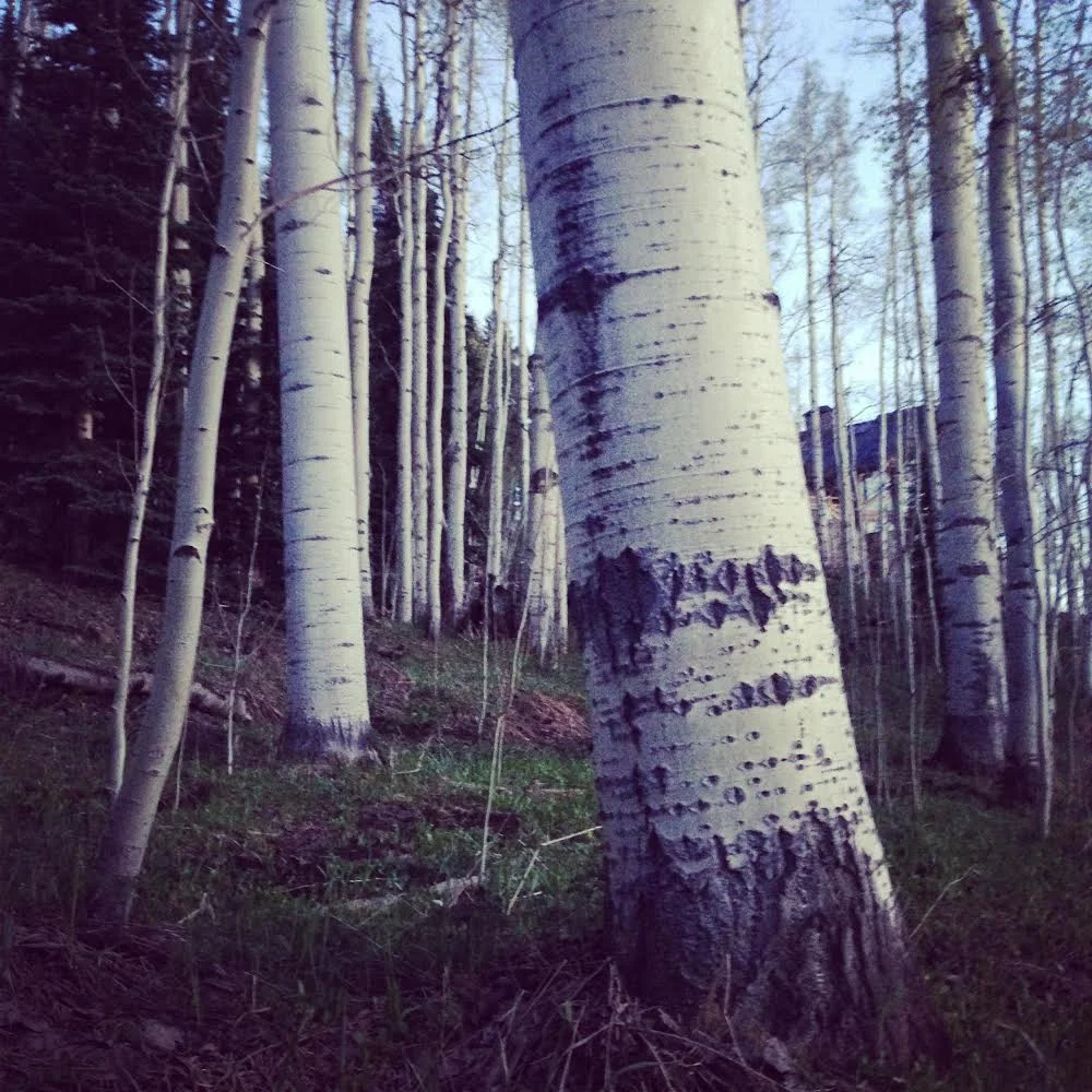 What to do When a Client Doesn't Pay