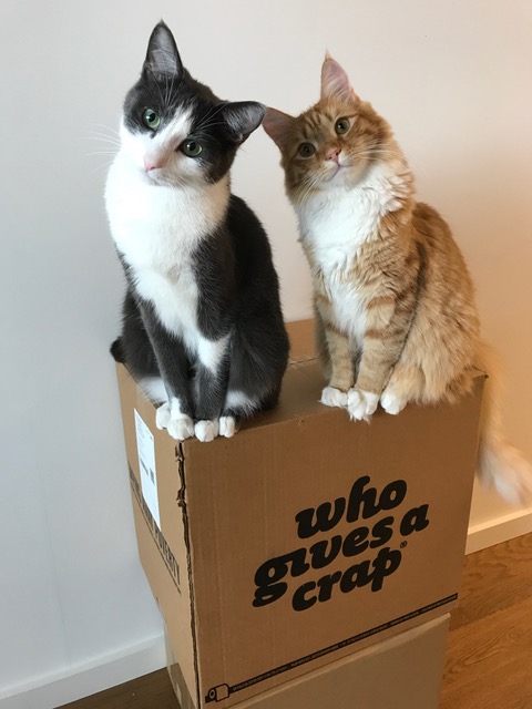 Hercules (L) and Benedict Cumberbatch (R)