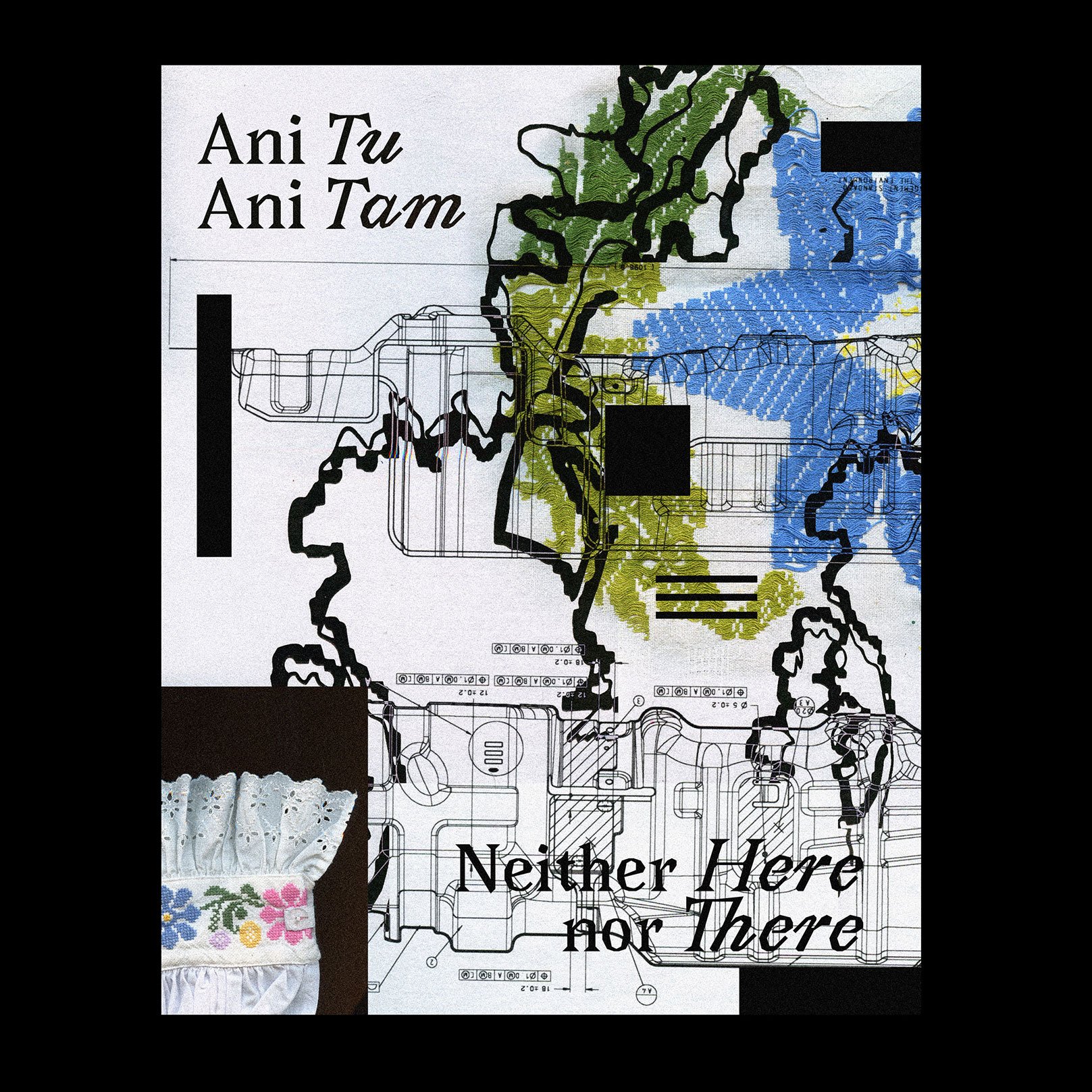 Ani Tu, Ani Tam (Neither Here nor There)