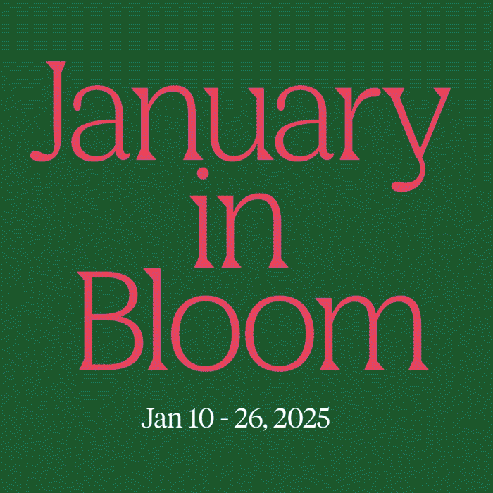 January in Bloom - Sculptural Installation