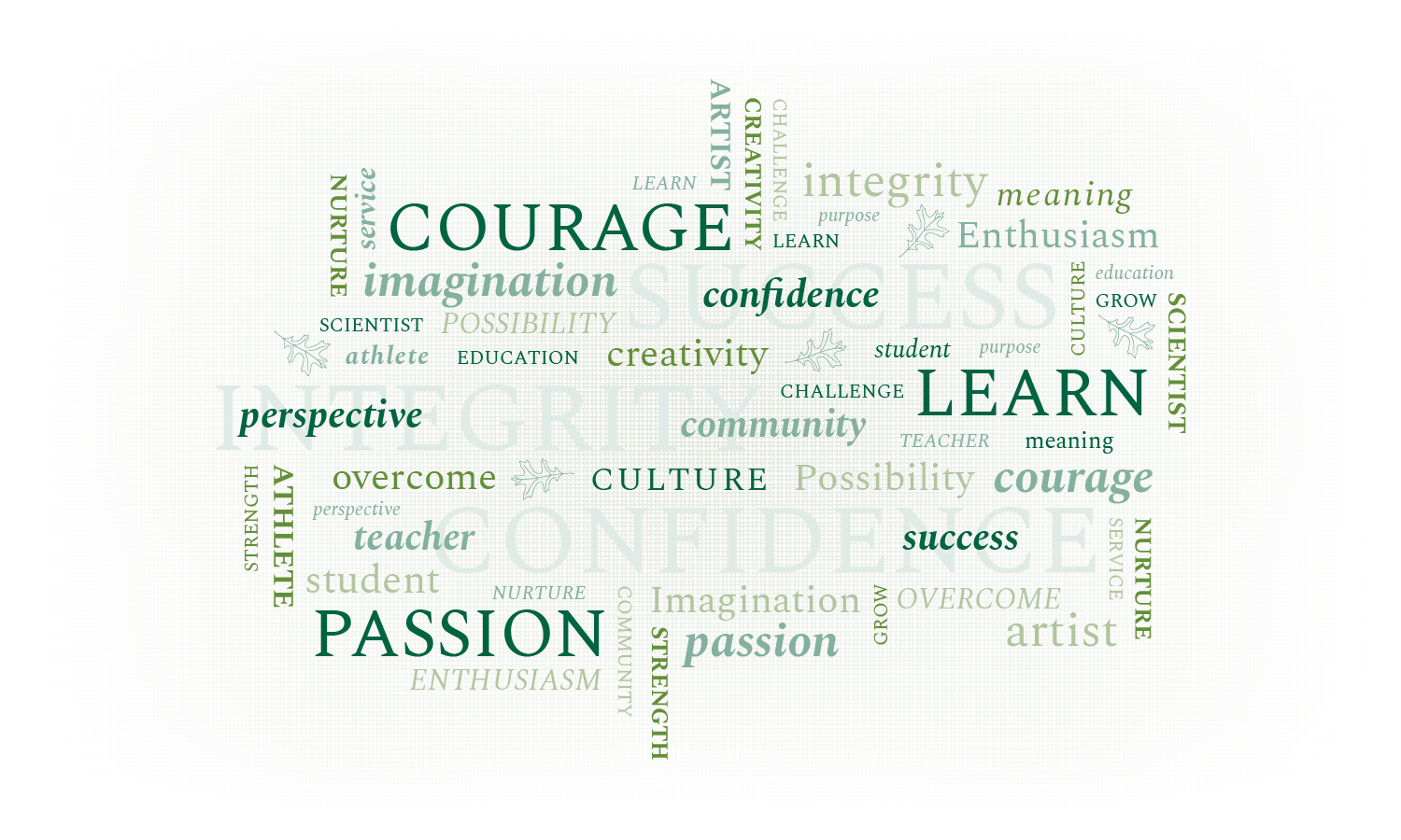 Illustrator, 2019 | Word cloud comprised of words from a private elementary school’s mission statement. Designed as a large-scale wall graphic for the library area.