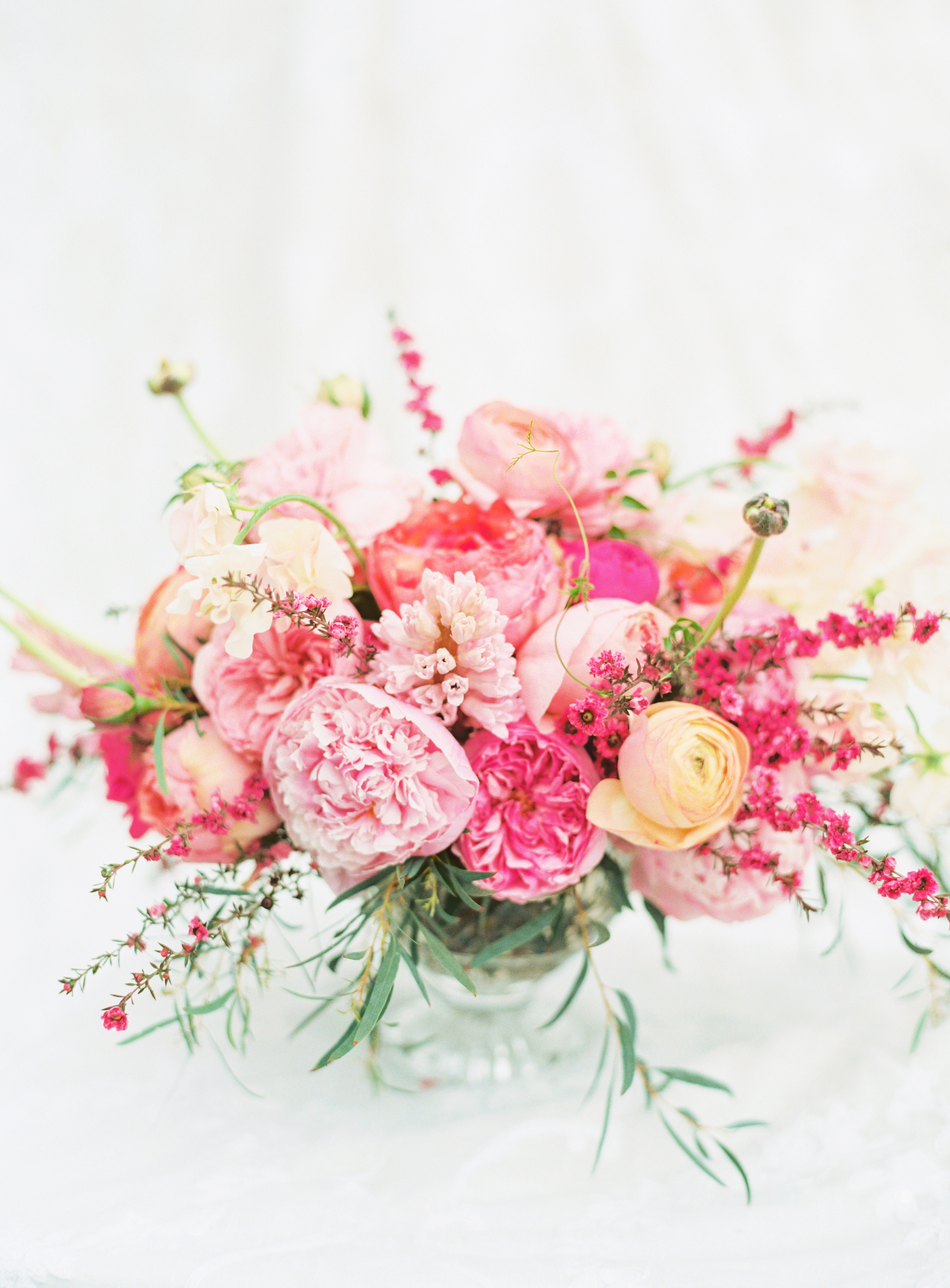 Image courtesy of Jodi Miller Photography