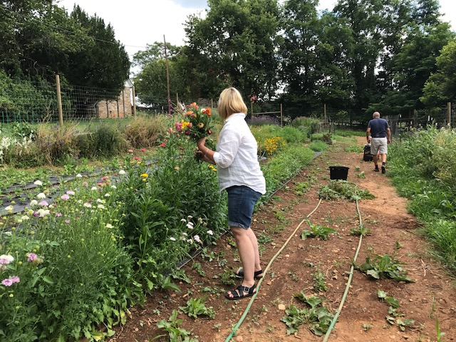 Evan and Holly Chapple harvesting