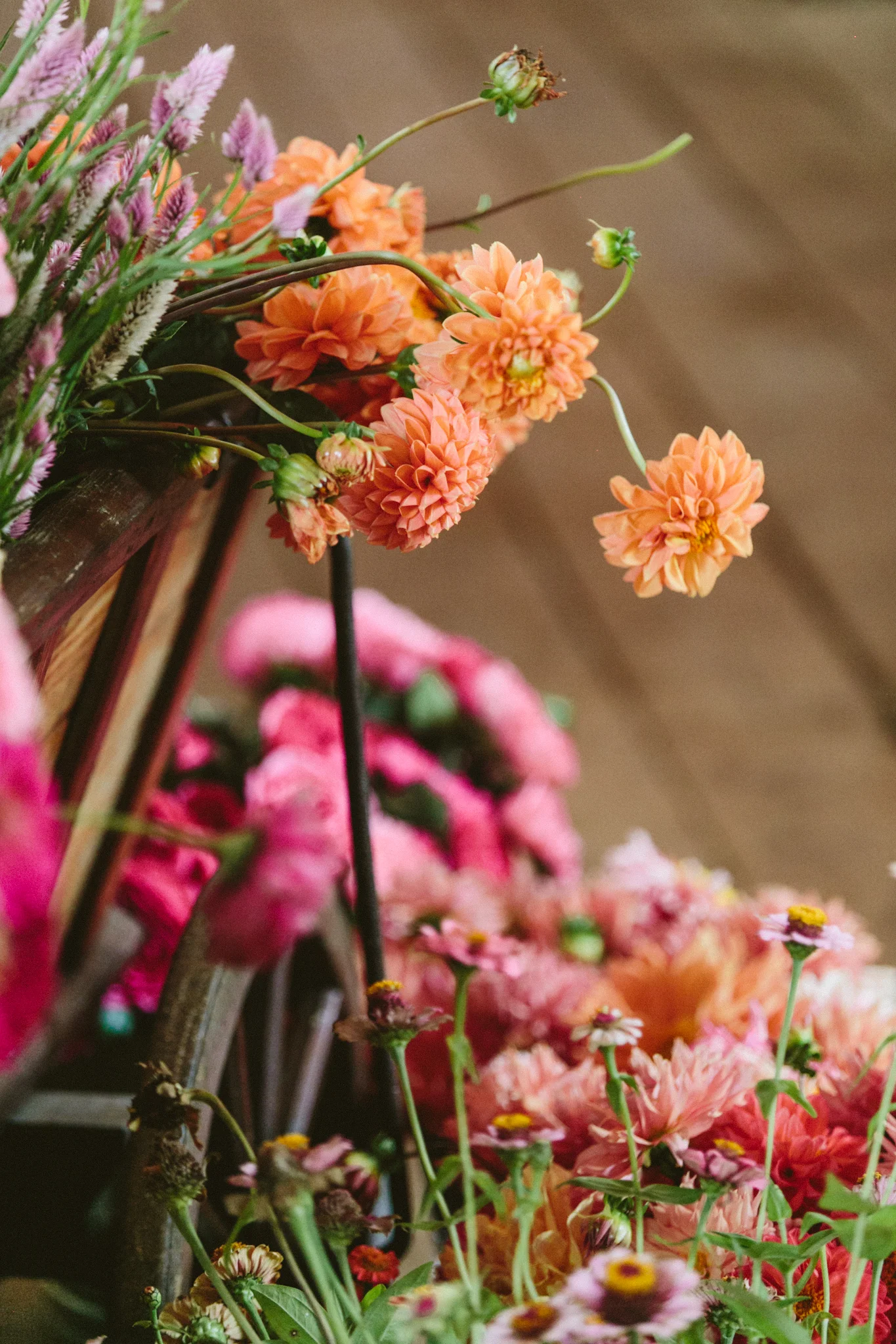 Hope Flower Farm