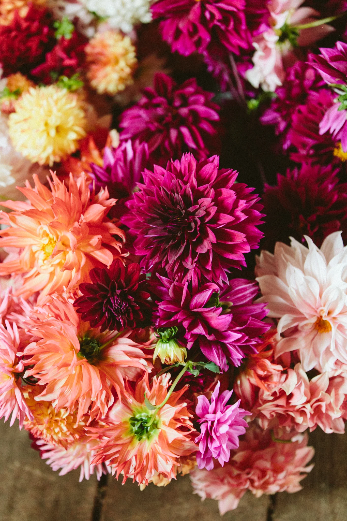 Hope Flower Farm
