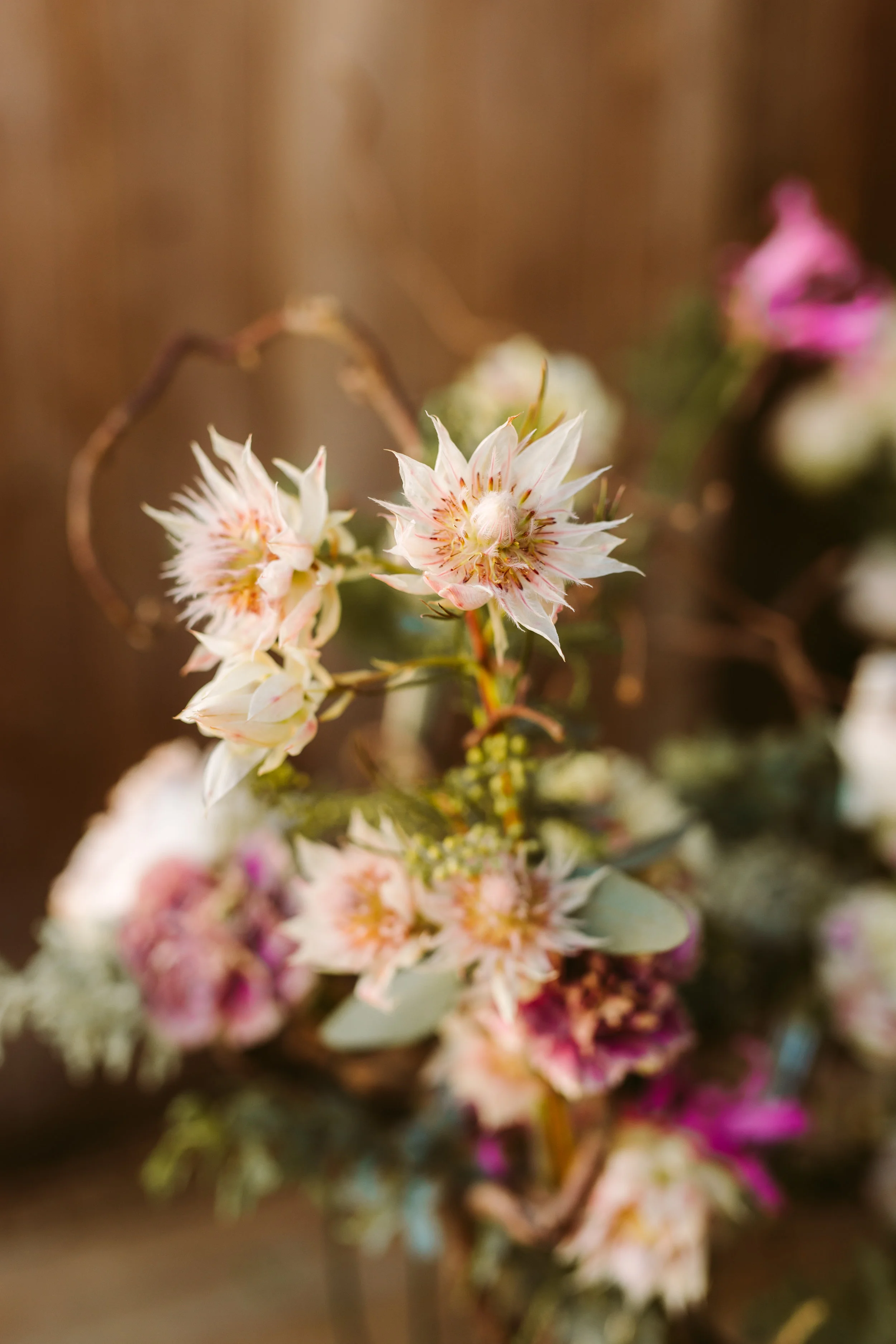 Hope Flower Farm