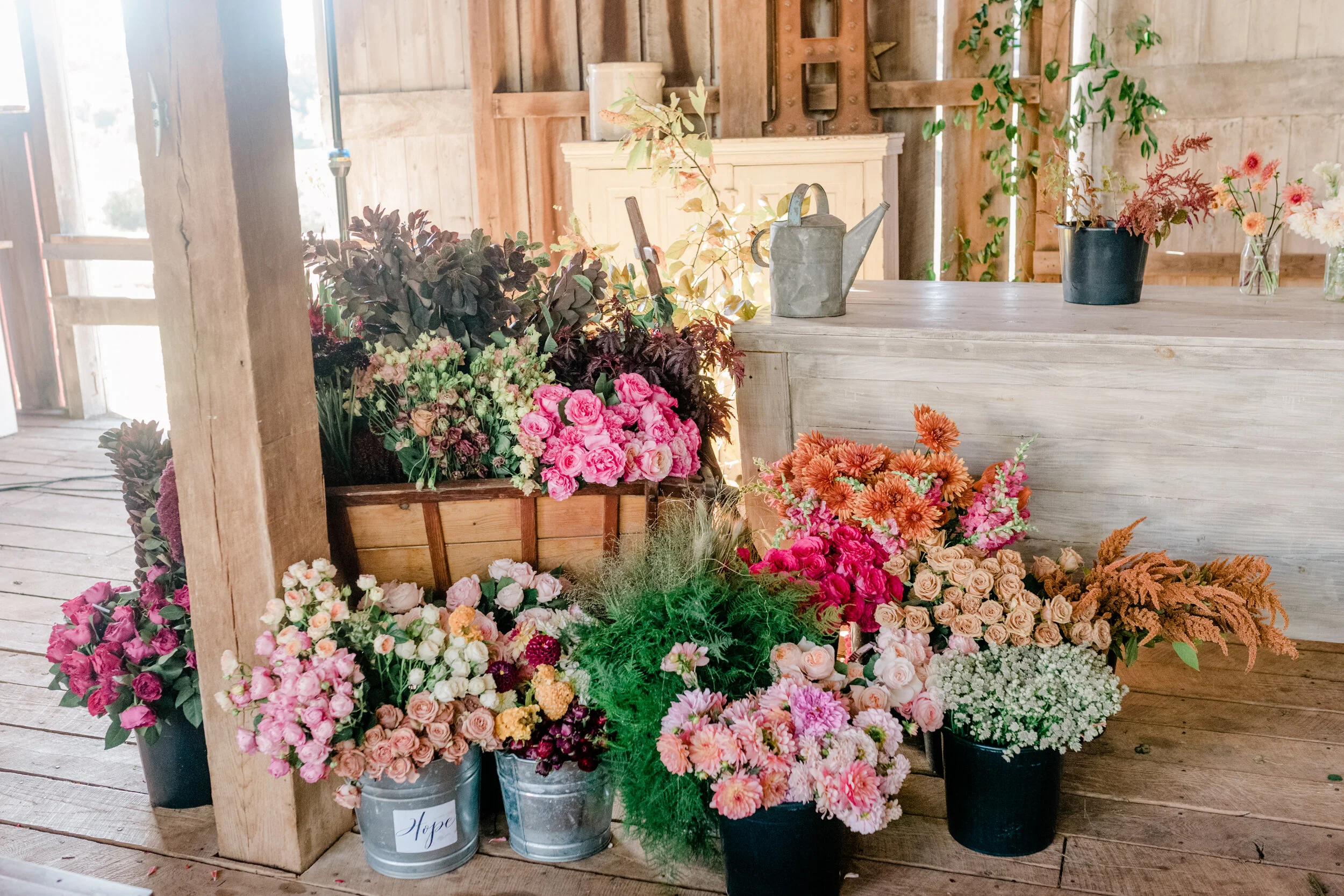 Ten23-Photography-Flowerstock-Hope-Flower-Farm-Holly-Chapple-59.jpg