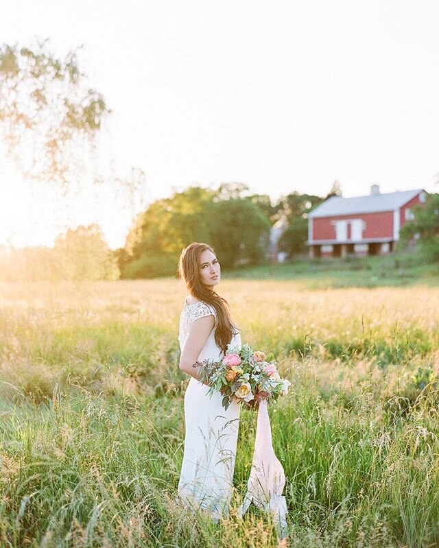 The most perfect golden hour ☀️