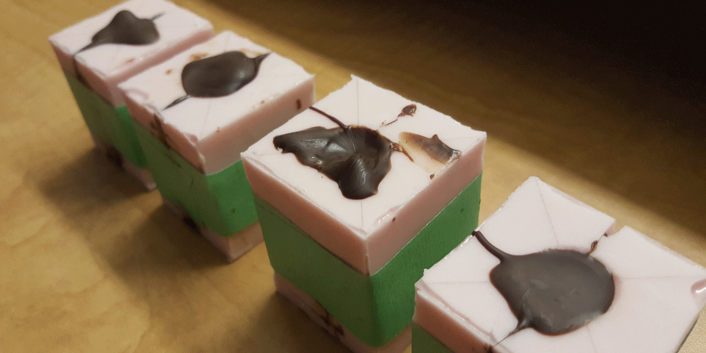 E4-Mold-Casting-Gif.gif