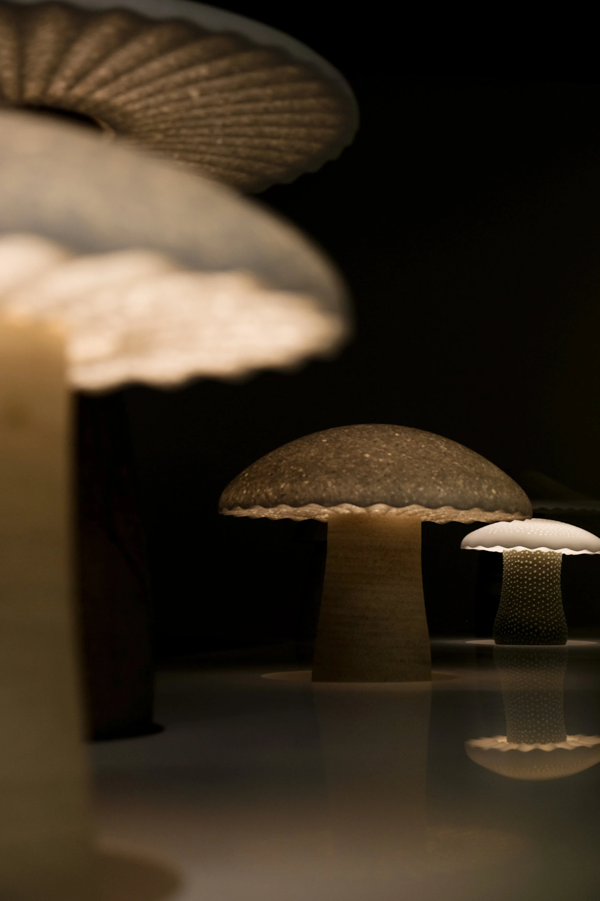 DSCF7318-2.jpg