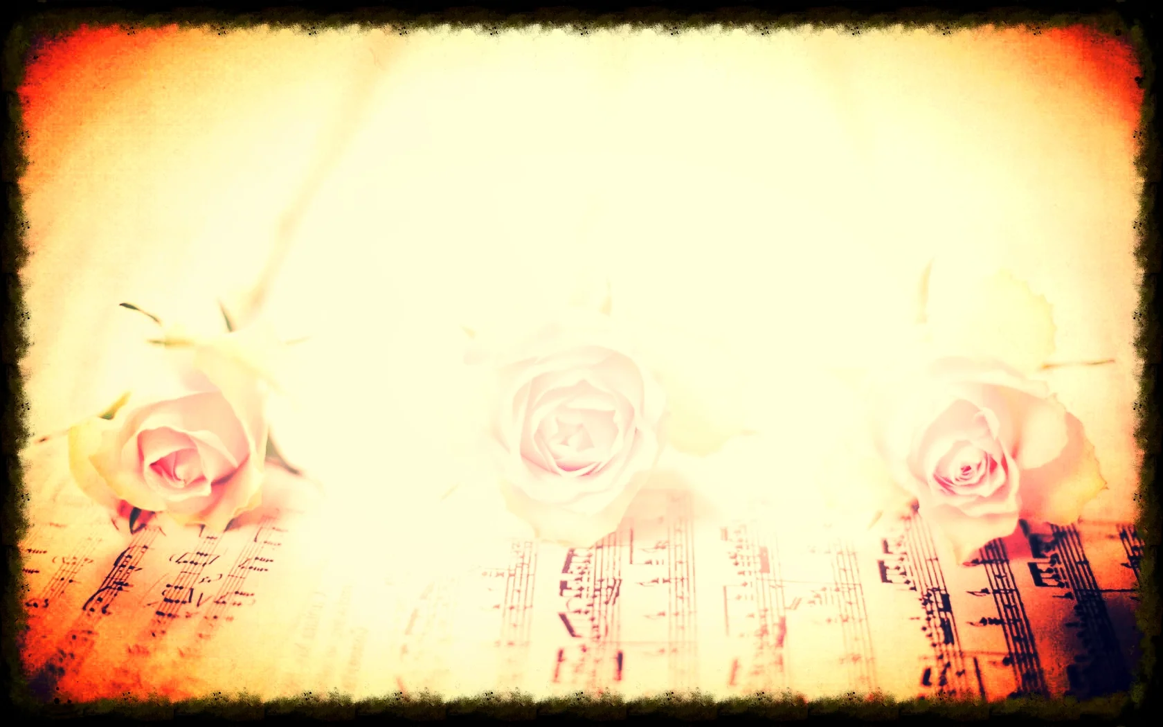 roses_white_soft_music_notes_pink_flower_hd-wallpaper-1983075.jpg