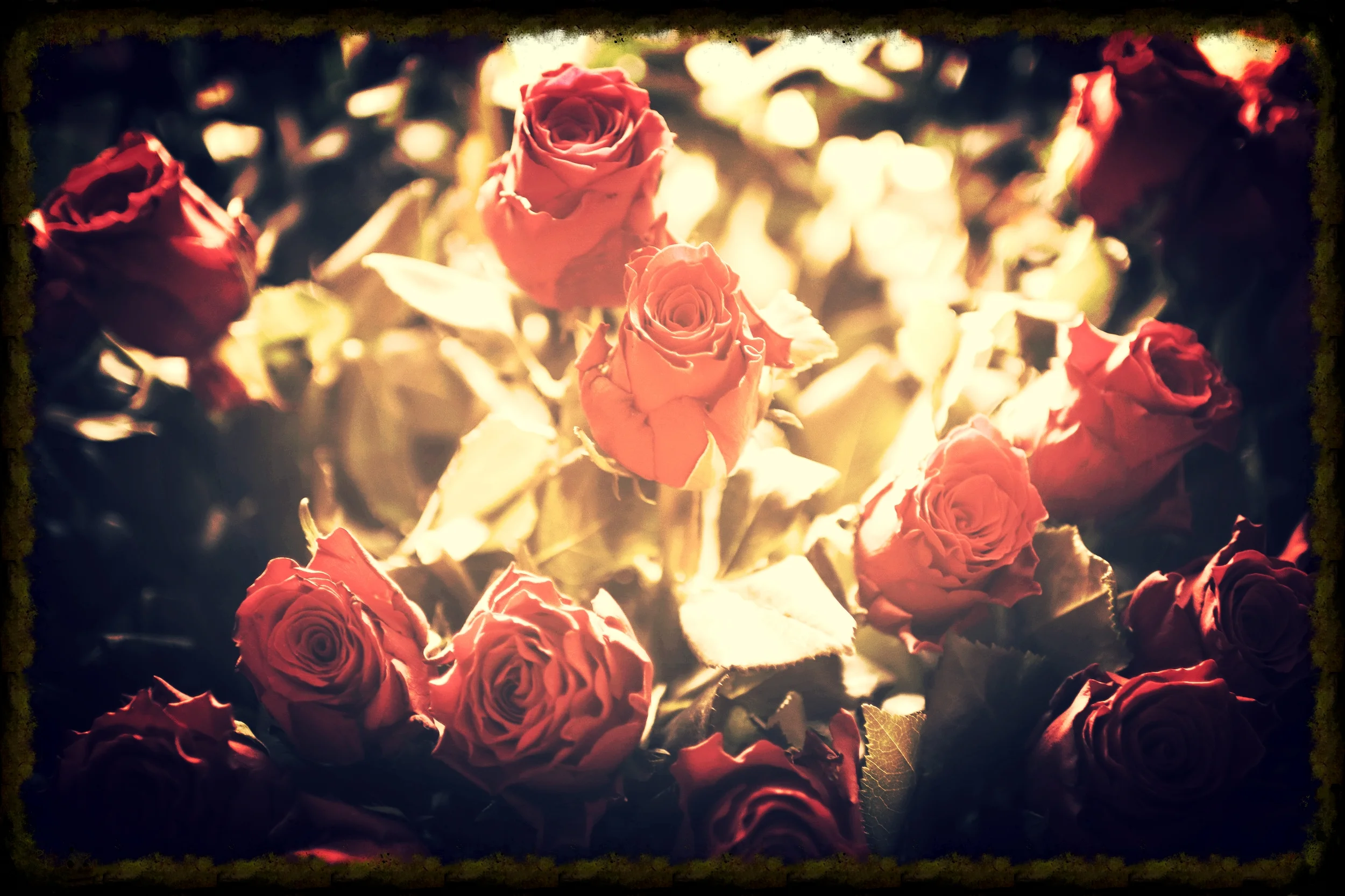 red-love-romantic-flowers.jpg