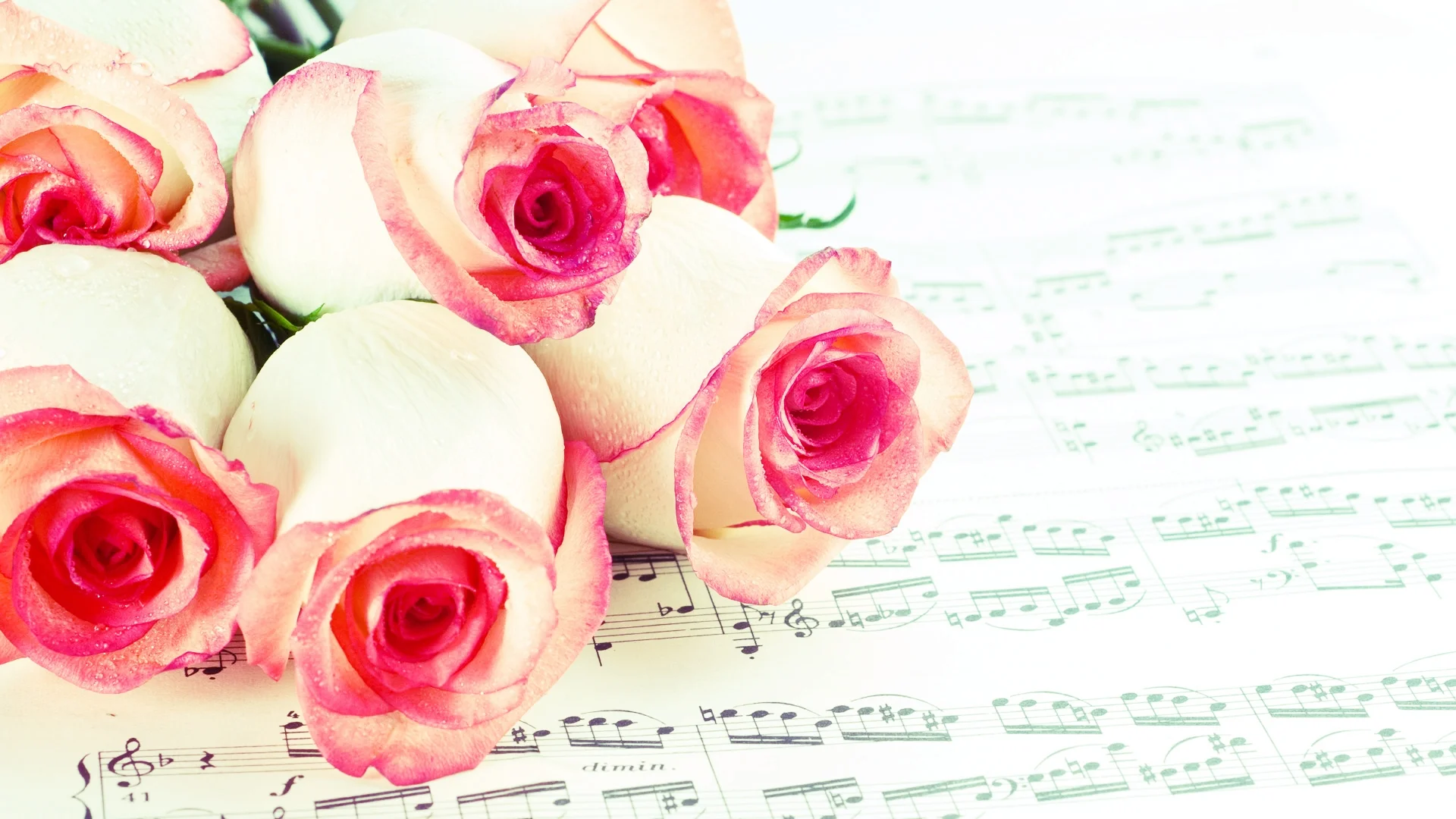 HD rose and sheet music wallpaper.jpg