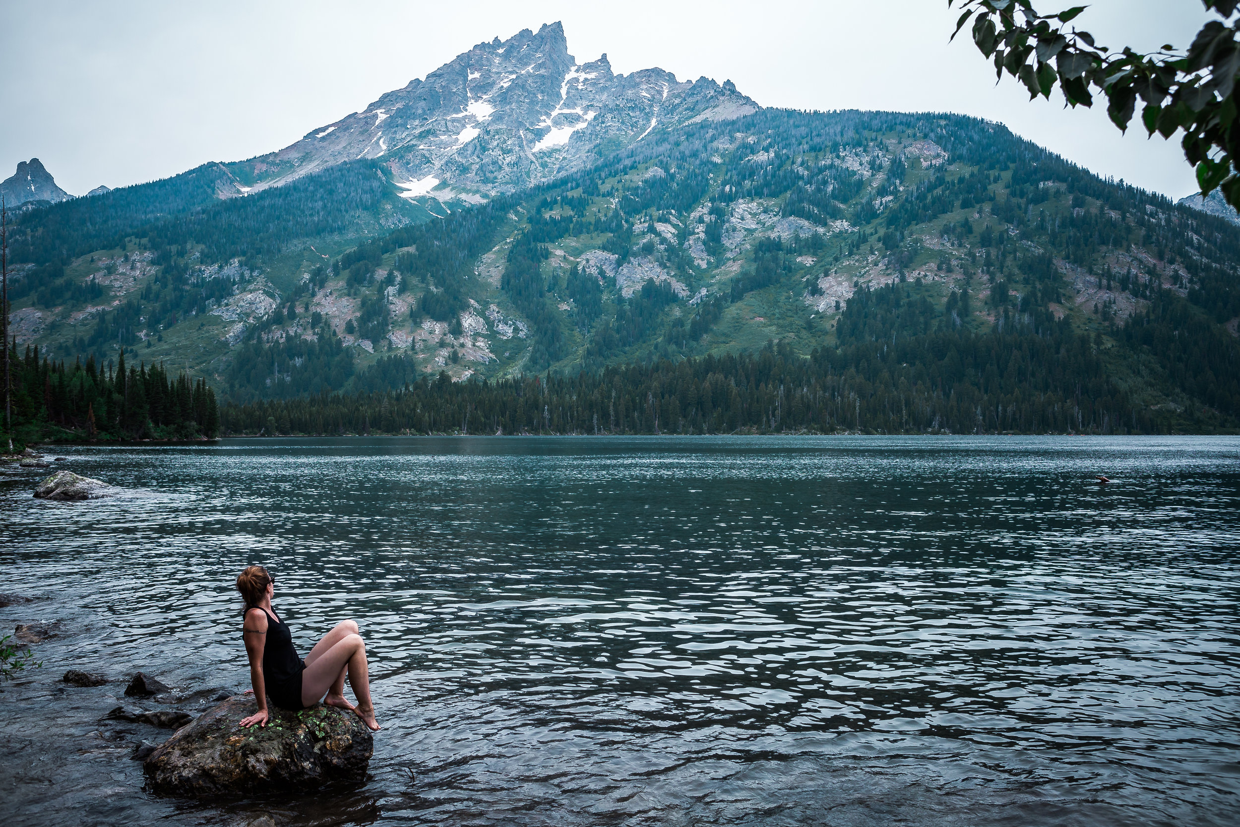 2017-07 BIkes Jackson Hole Park 5 (1 of 1).jpg