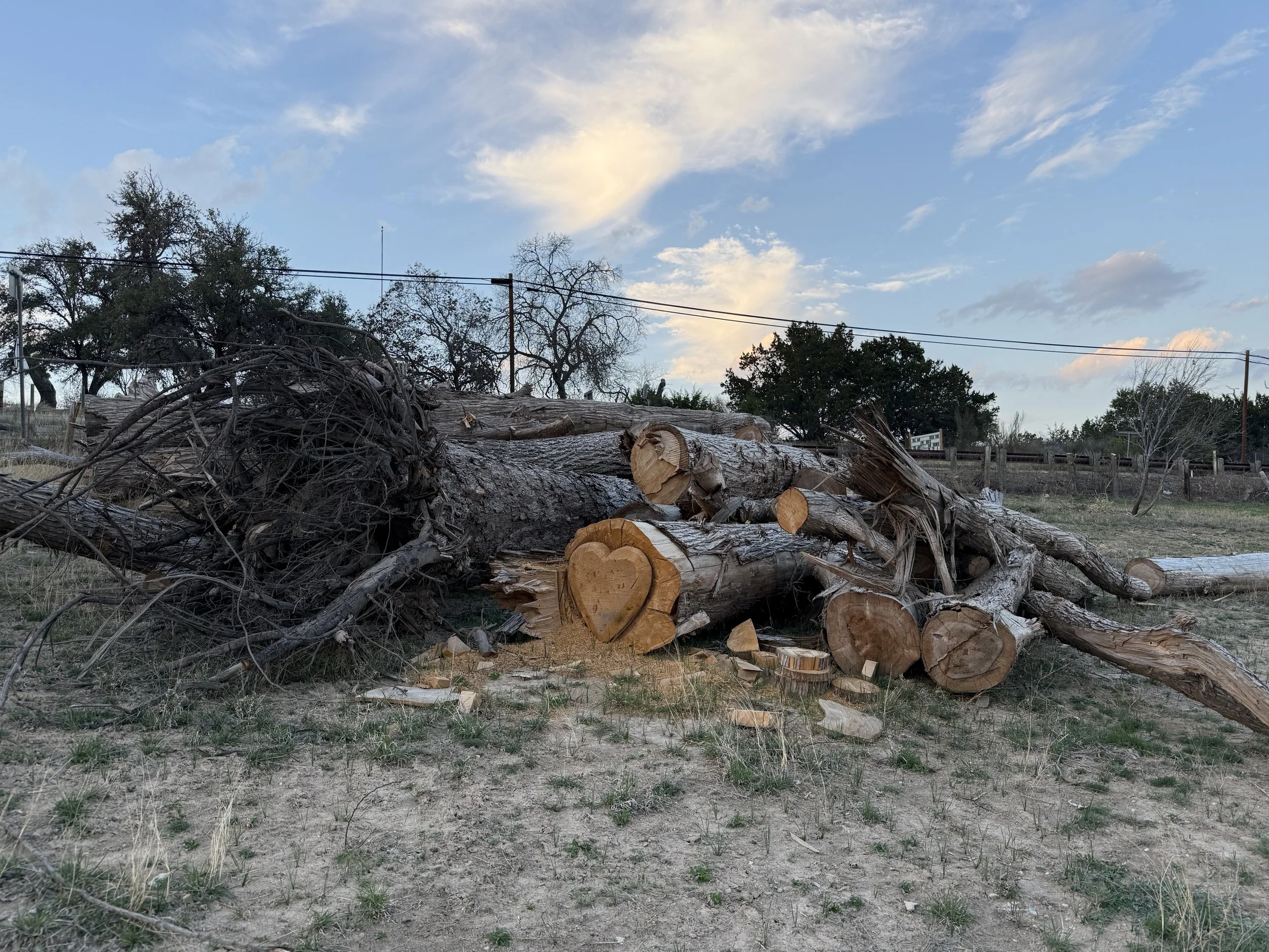 Heart carved into salvaged cypress by artist Dusty Kosmach, Ingram, TX, March 2026