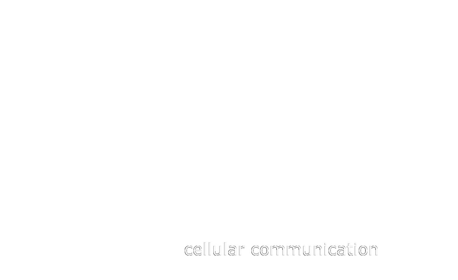 Coffer Lab