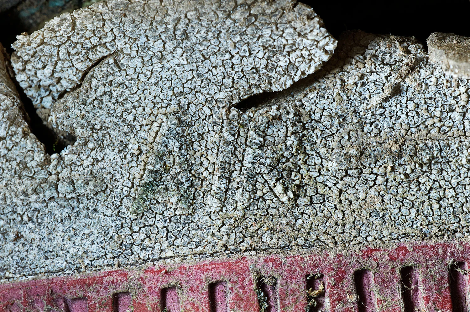 05_BRI5139_FIN.jpg