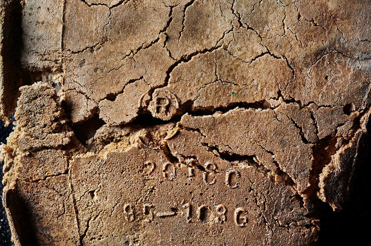07_BRI8915_FIN.jpg