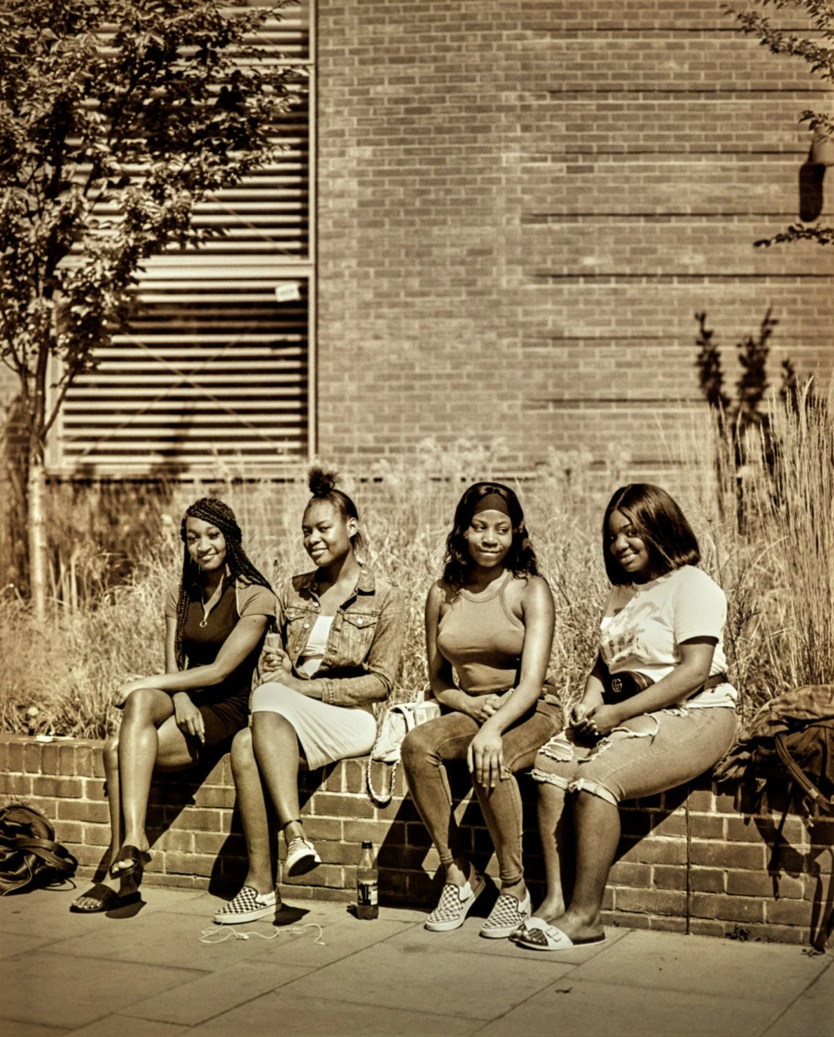 theGALS+.jpg