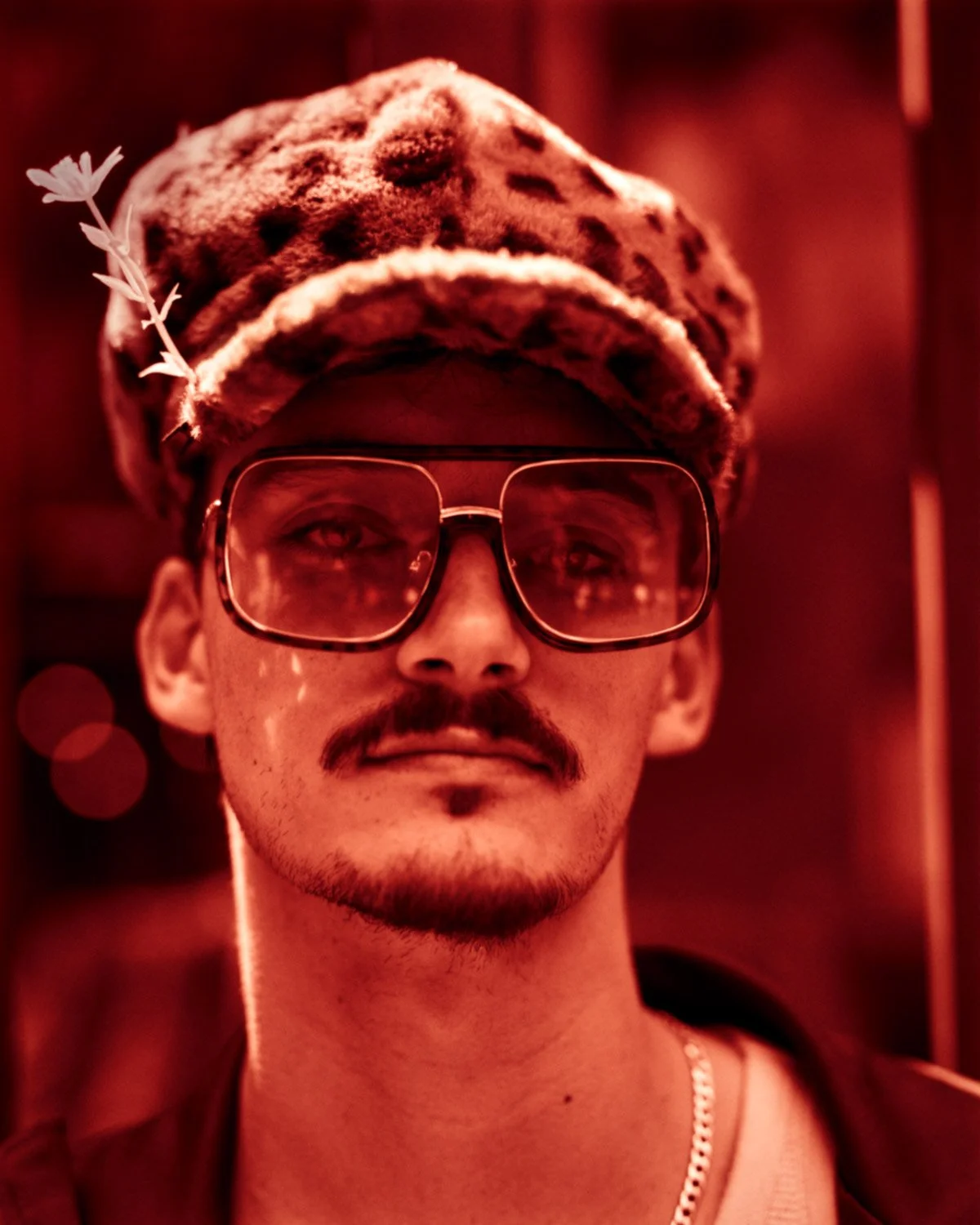 30_HOUGHTON_120mm_001_Jack_fin_FIN.jpg