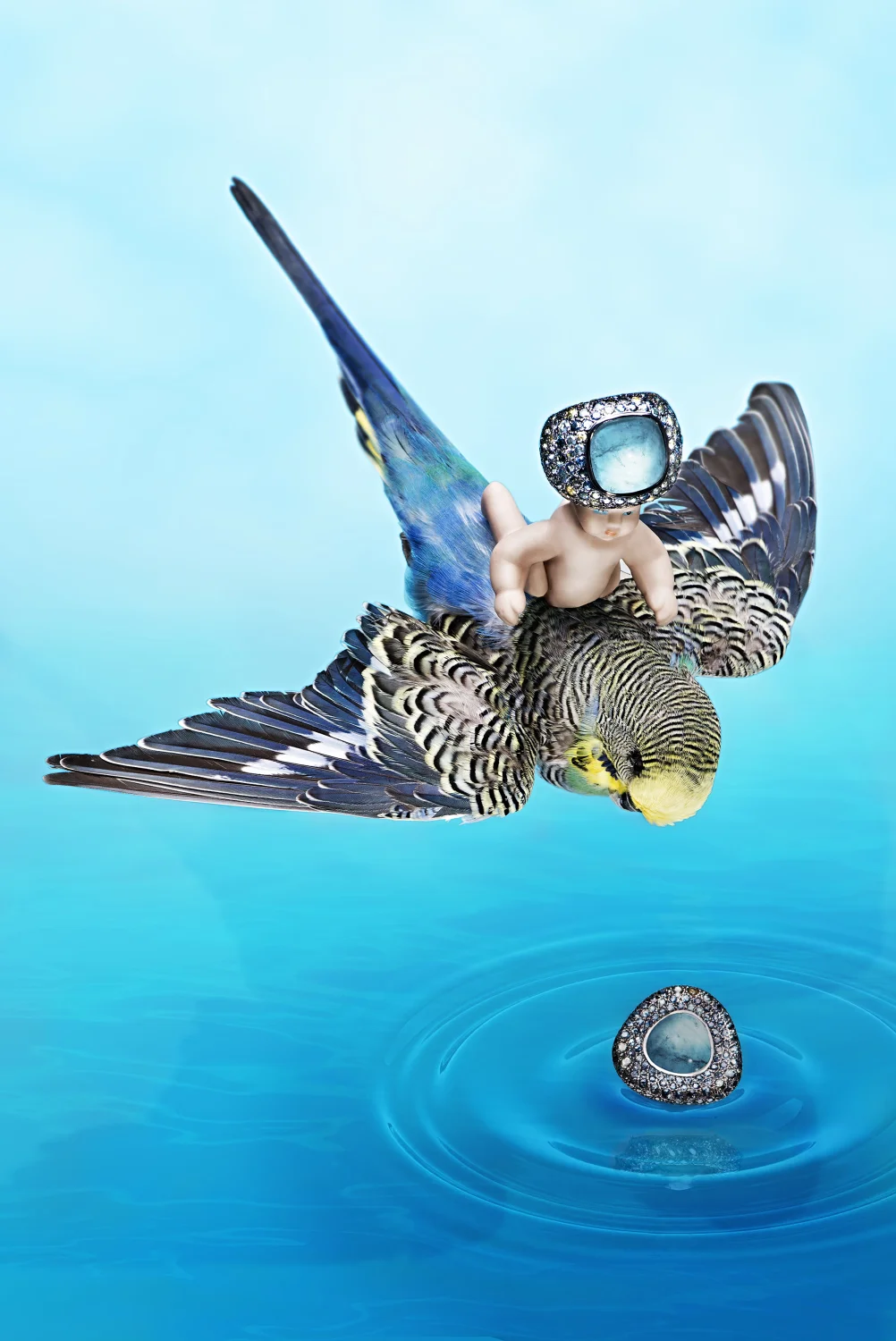 budgie smuggler.jpeg