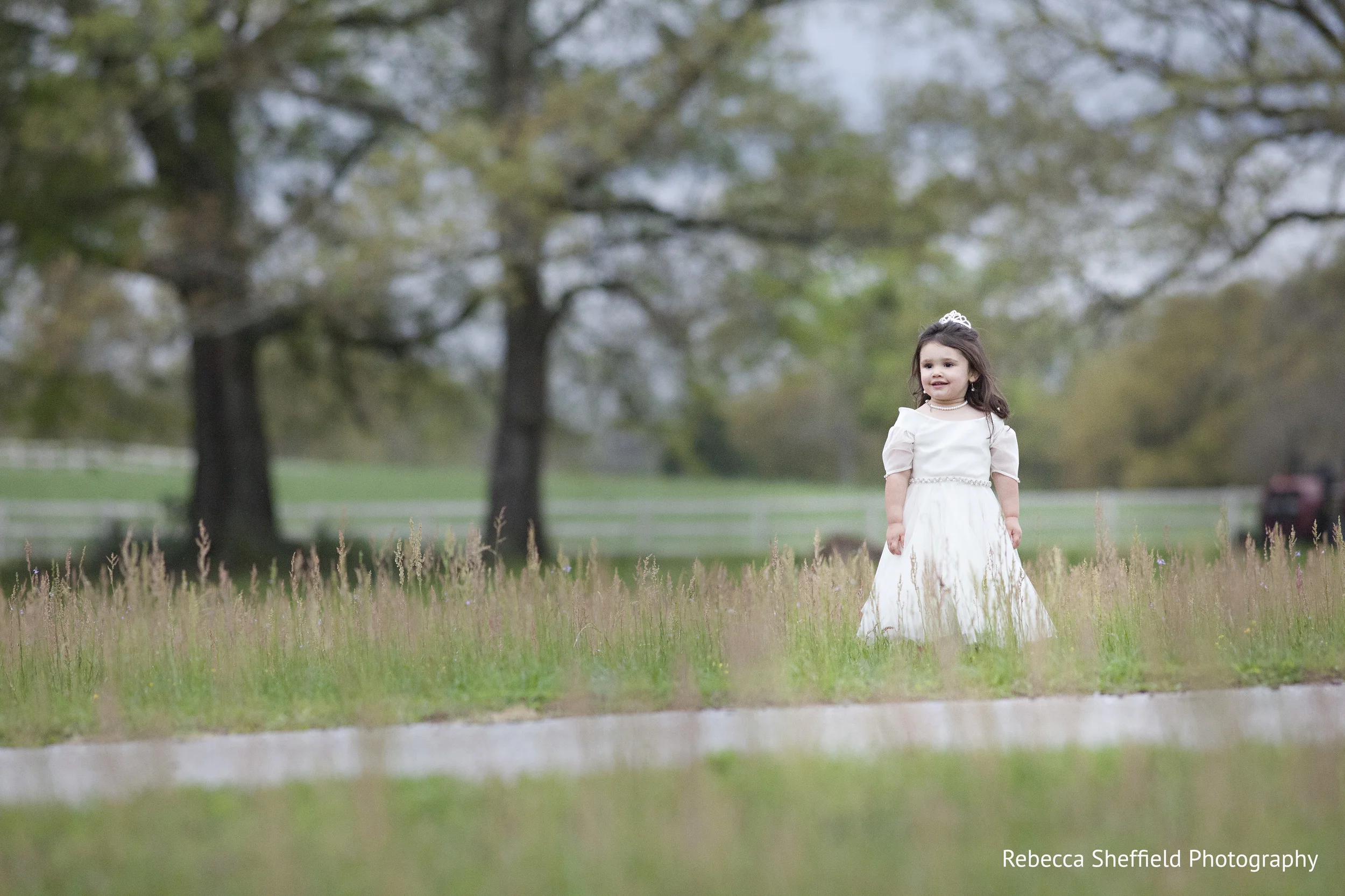 Wedding Photography Rebecca Sheffield Photography Tallahassee Fl Wedding And Portrait Photographer