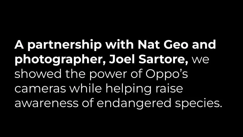 Untitled presentation.jpg