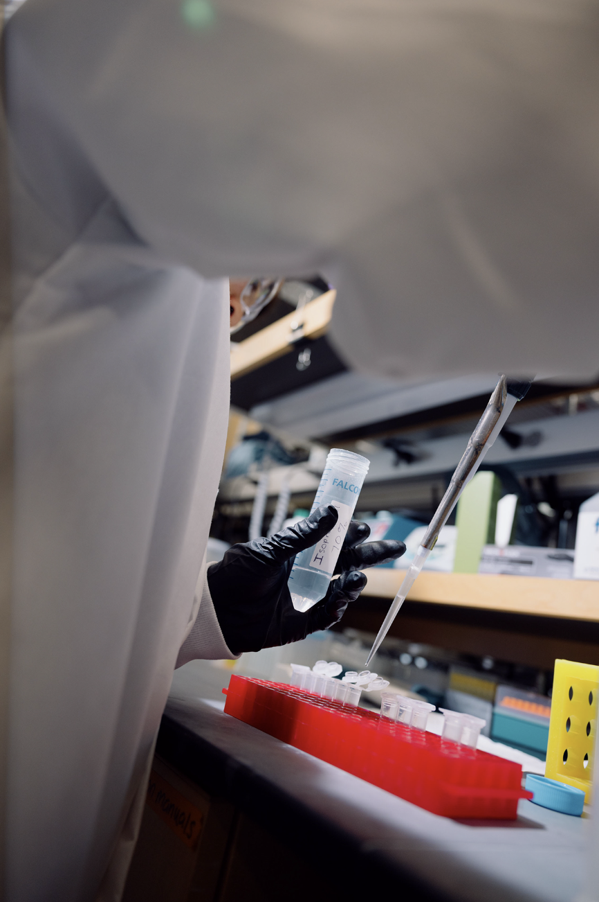 Screenshot 2024-09-12 at 9.10.59 AM.png