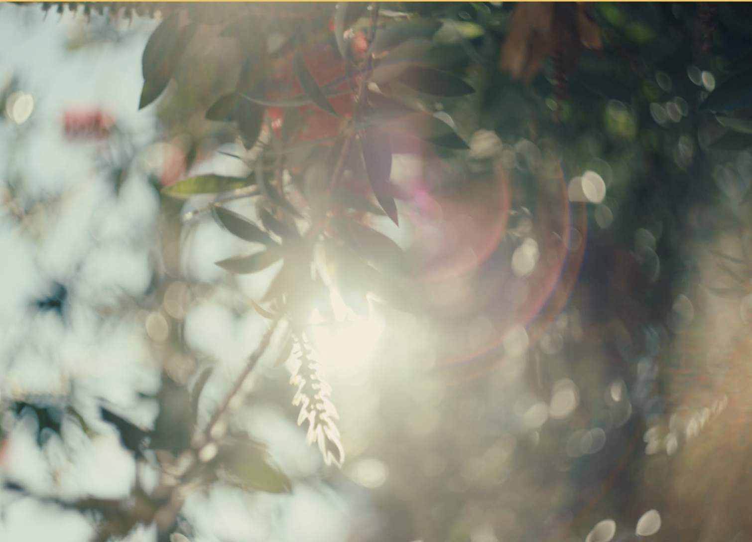 Screenshot 2026-03-23 at 7.51.44 AM.png