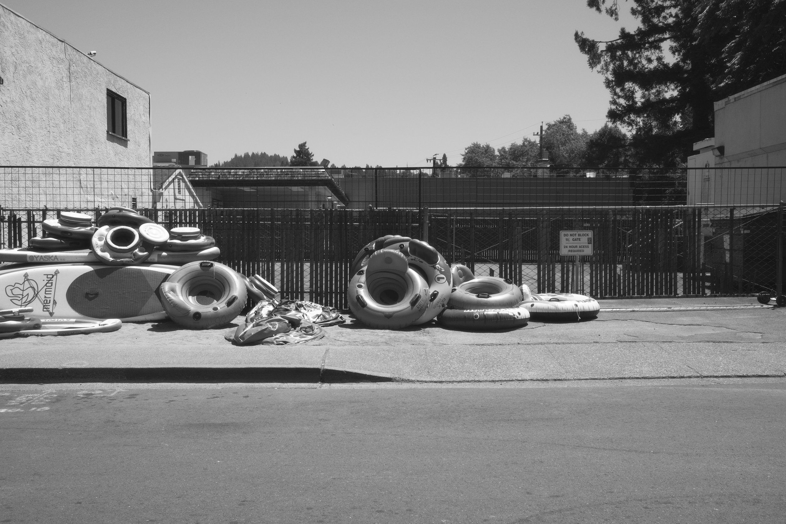 _DSF1143(1).jpeg