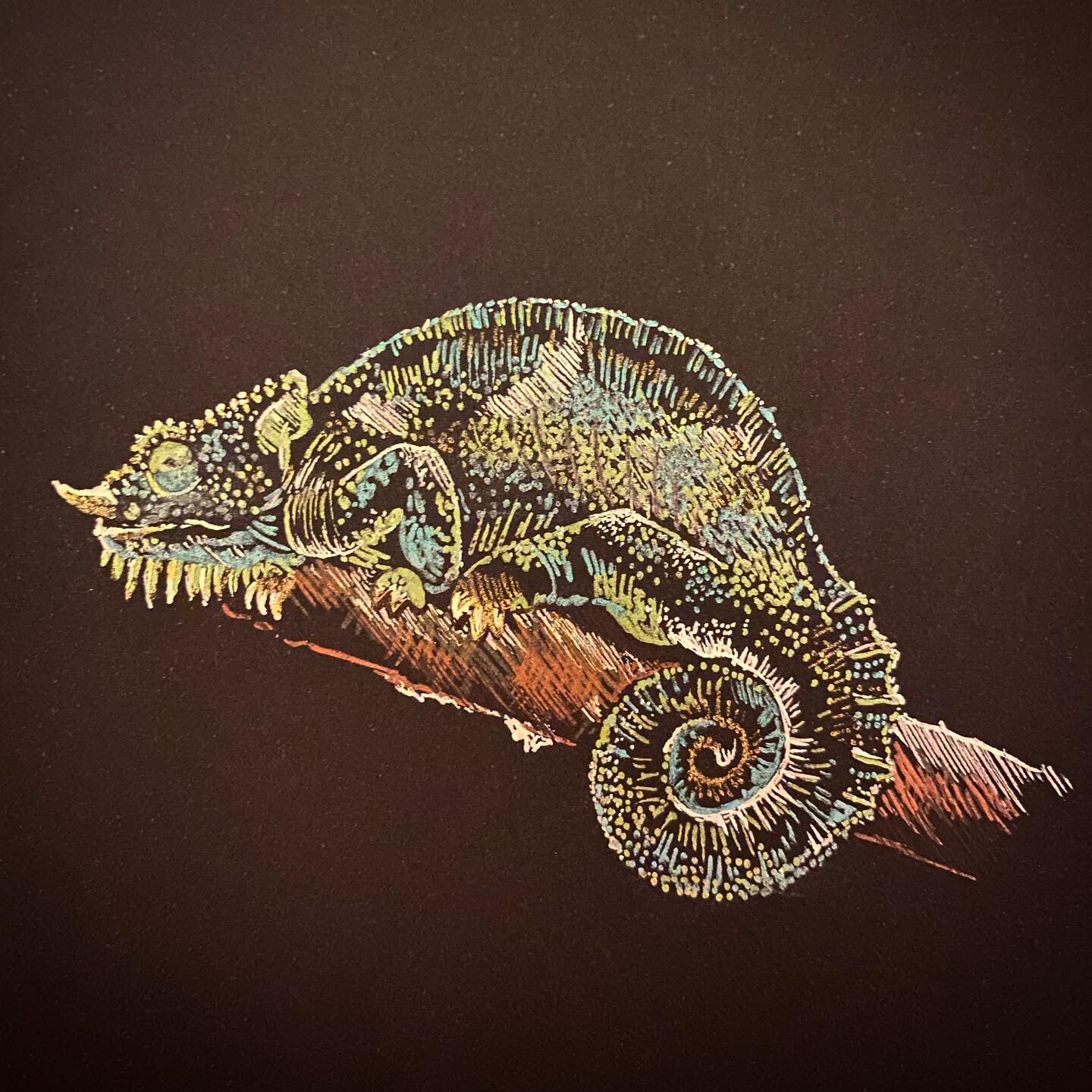 A #fourhornedchameleon from back in October (from a prompt from the @undyingtales project, celebrating endangered and vulnerable species and the myths surrounding them).
&bull;
#illustration #drawing #gelpens #gelpensonblackpaper #chameleon #undyingt