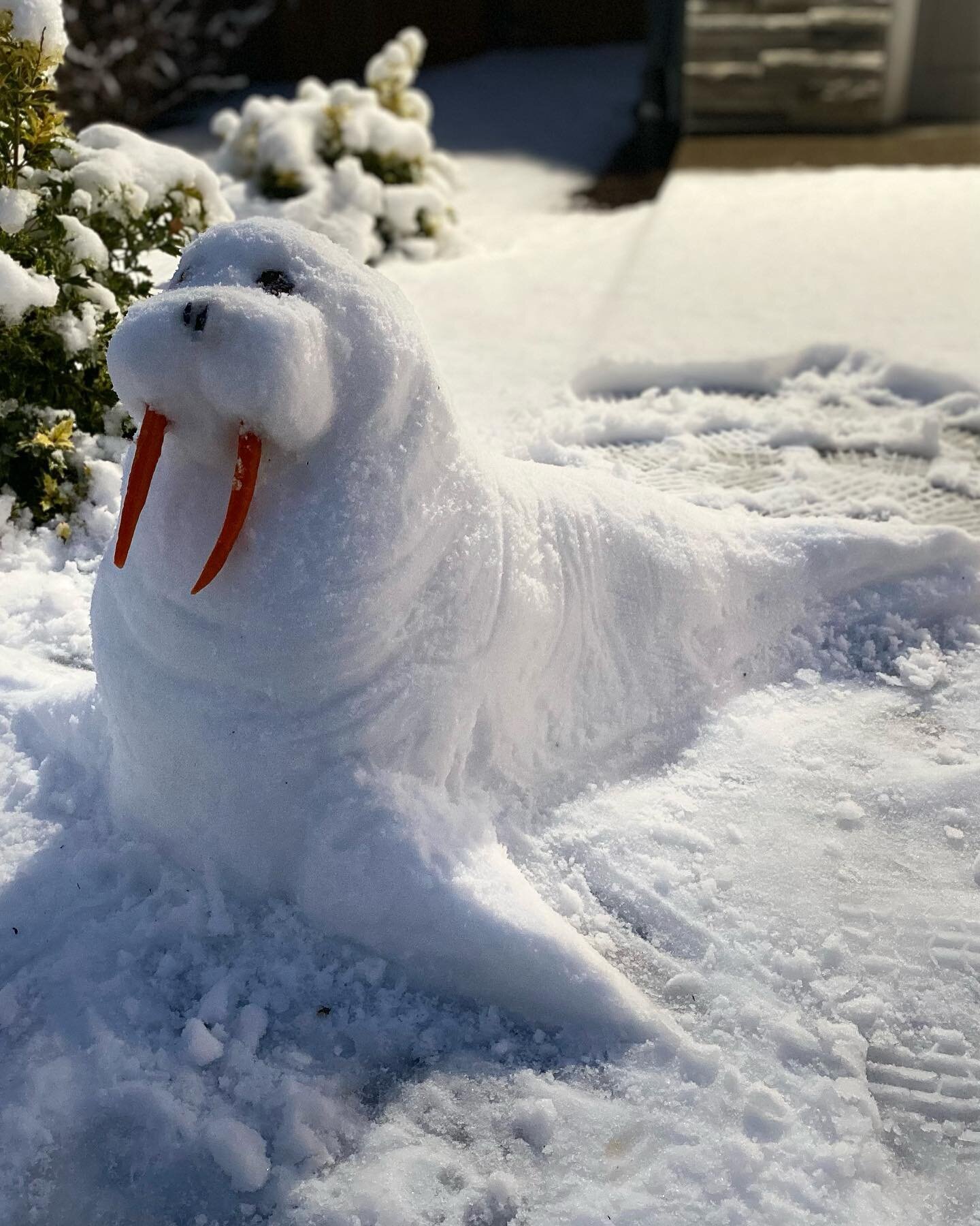 Though I grew up with snowy winters, spending the last decade on the West Coast has really made me treasure every snowfall.  Working from home makes a &ldquo;snow day&rdquo; kind of moot but we took a beautiful walk, and then of course I built a snow