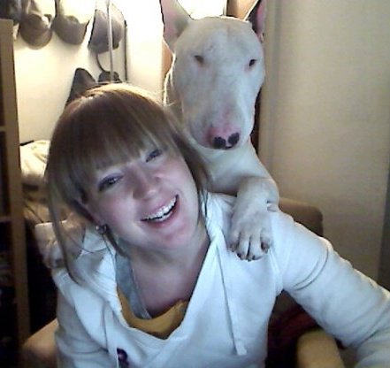 beforeandafterenglishbullterrier.jpg
