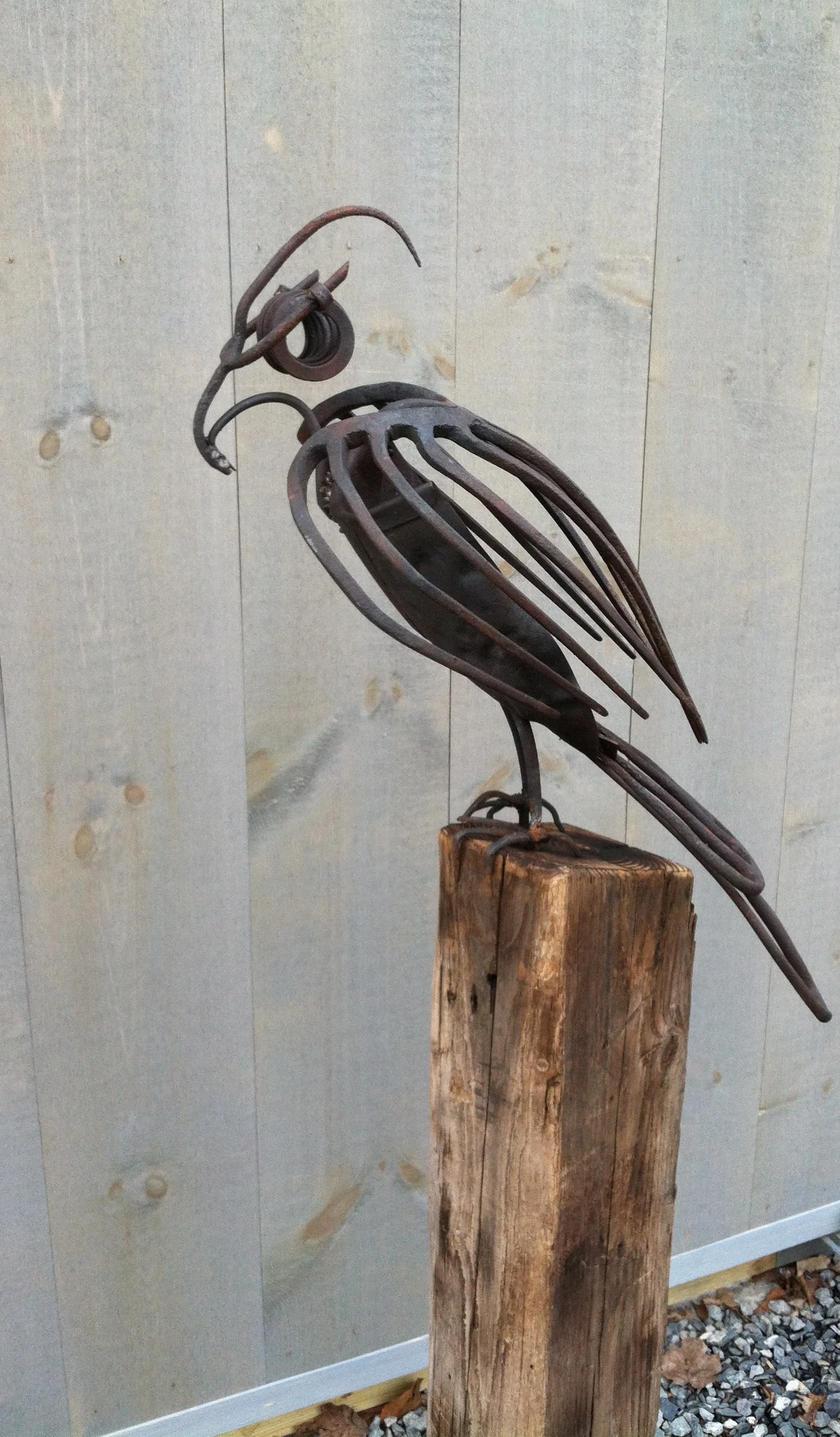 Bird of Prey