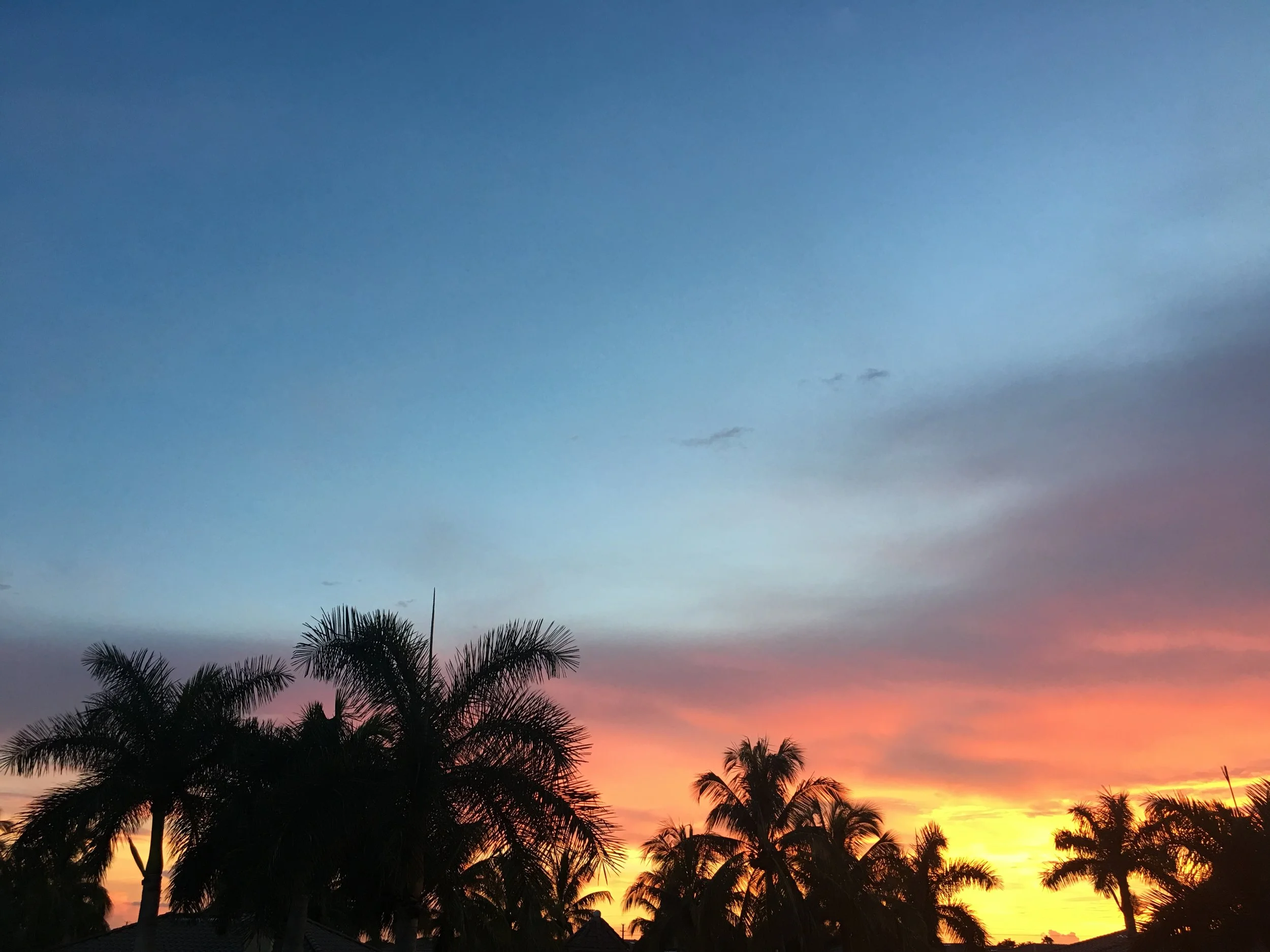 Reflection: Another Tragedy 