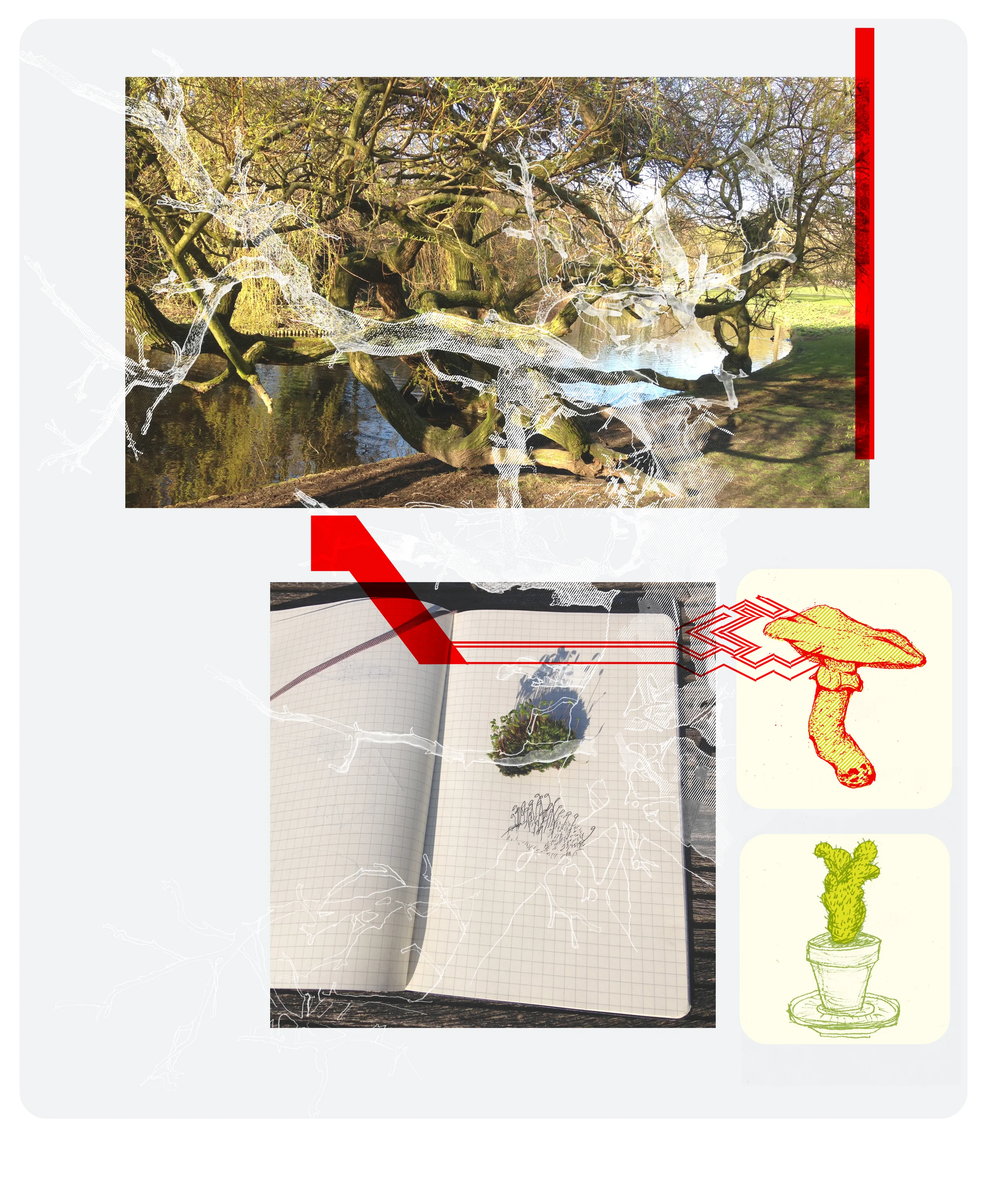 Field Notes