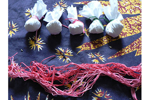 Free-Sage-bundles-P1020351.jpg