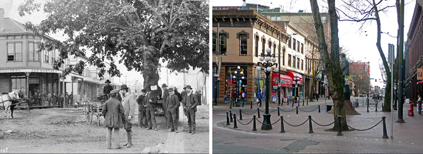 Image above: Maple Tree Square in 1886 (left) and in 2014 (right).