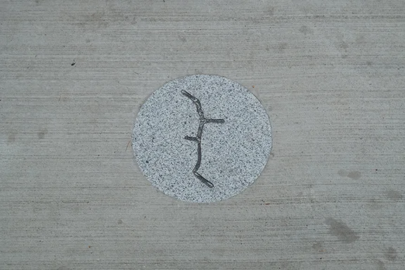 DSCF3746 WEB.jpg