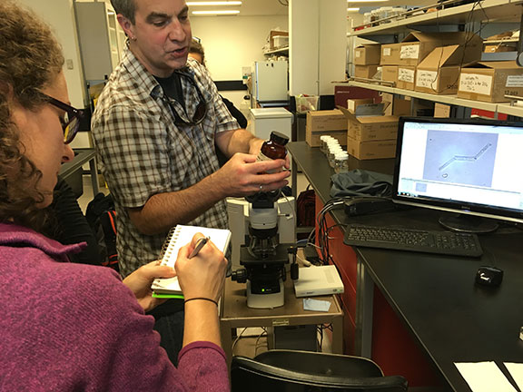 EAOS-Microscope-36841443423_4473ed488d_o-WEB copy.jpg