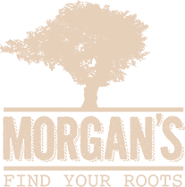 logo copy.png