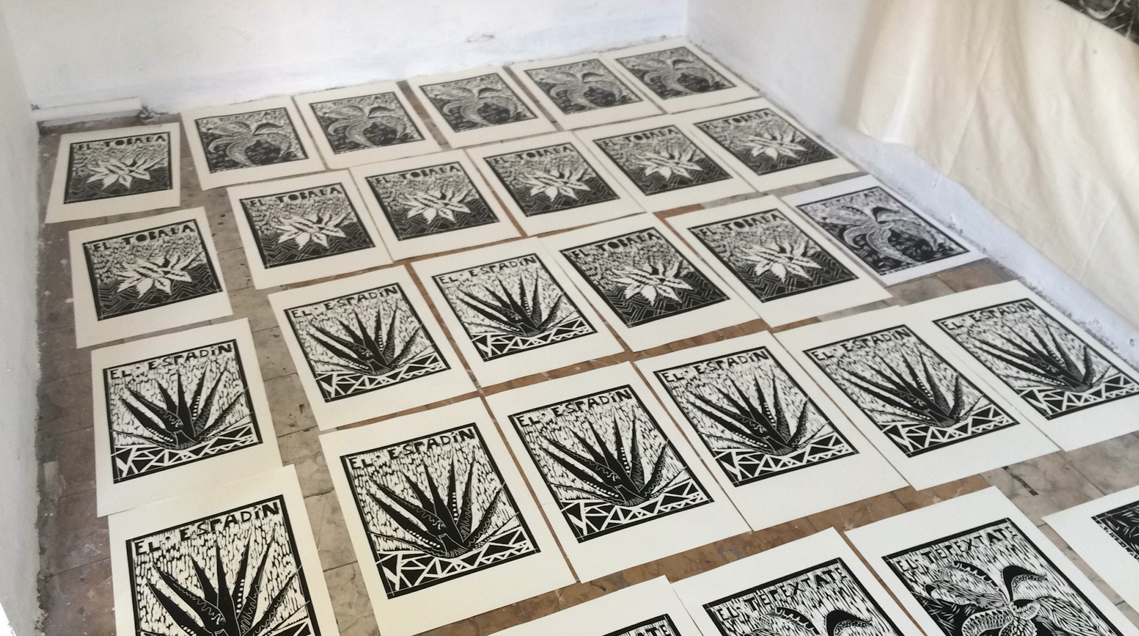Printing in progress- agaves (1).png