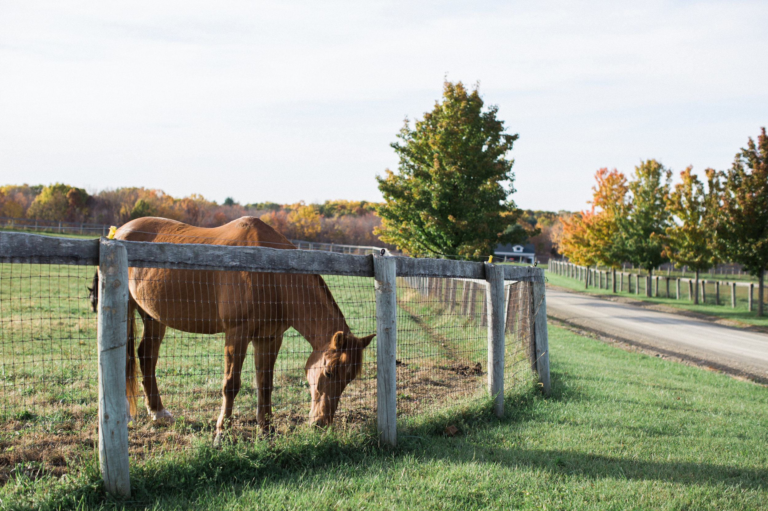 The BARN at Liberty Farms