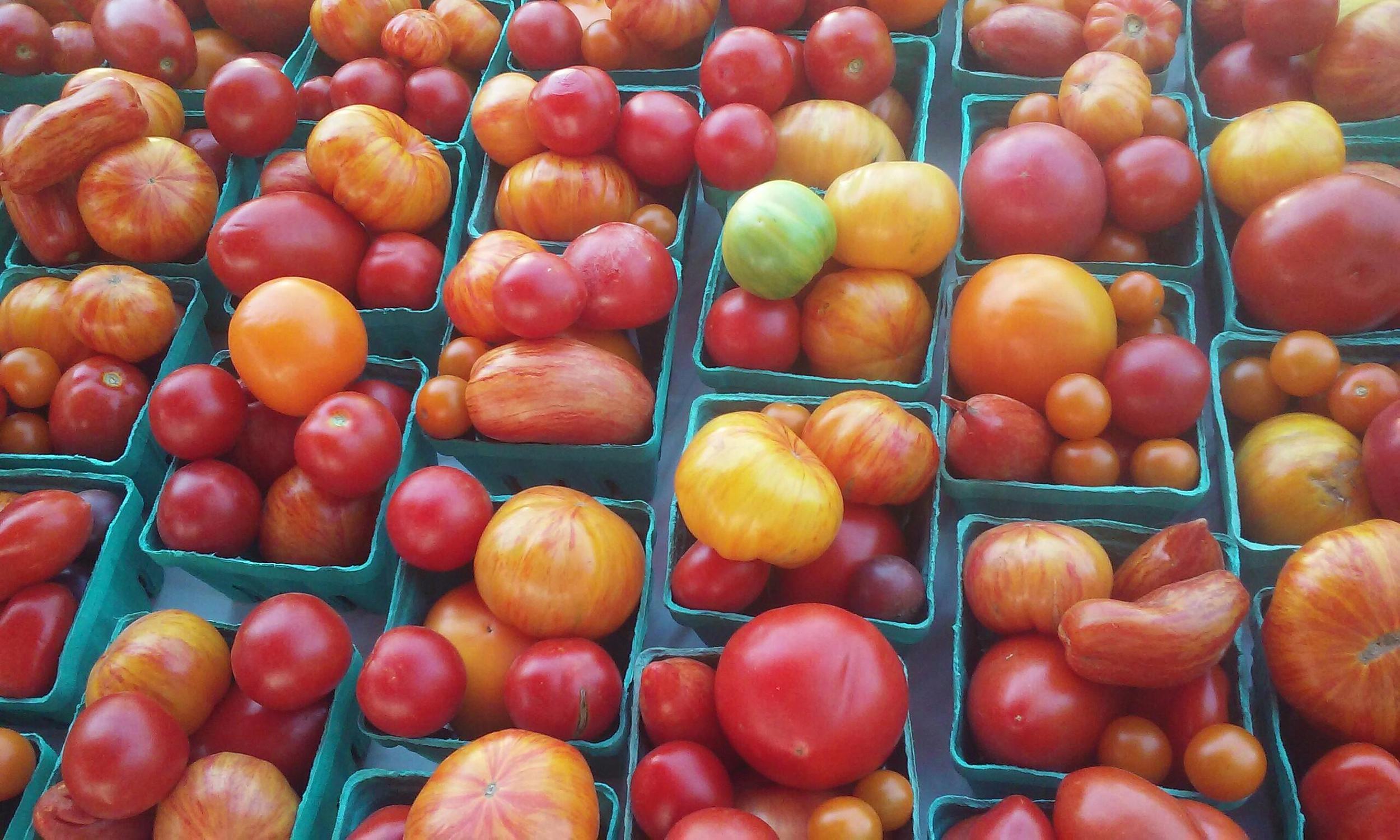 Heirloom Tomatoes at Liberty Farms.jpg