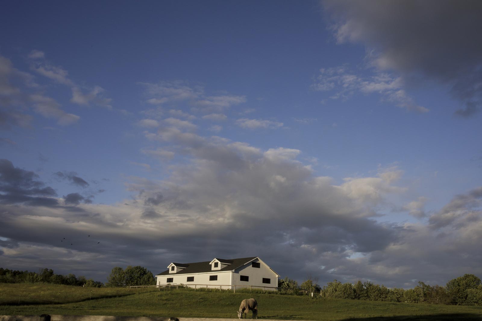 barn-at-liberty-farms-wedding-hudson-valley-alekseyk-photography-62.jpg